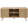 Image de Meuble TV en bois 2 portes