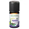 Image de Naturactive Huile Essentielle Bio Giroflier 5ml