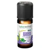 Image de Naturactive Huile Essentielle Bio Menthe Poivrée 10ml