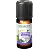 Image de Naturactive Huile Essentielle Bio Romarin A 1,8 Cinéole 10ml