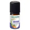 Image de Naturactive Huile Essentielle Carotte 5ml