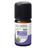 Image de Naturactive Huile Essentielle Bio Origan Compact 5ml