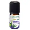 Image de Naturactive Huile Essentielle Bio Genévrier 5ml