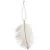 Image de Sachet de 6 plumes décoratives à suspendre