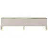 Image de Meuble tv effet bois beige