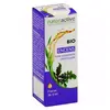 Image de Naturactive Huile Essentielle Bio Encens 5ml