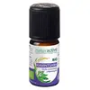 Image de Naturactive Huile Essentielle Bio Ravintsara 5ml