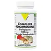 Image de Vit'all+ Complexe Champignons 500mg Bio 60 gélules végétales