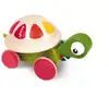 Image de Tortue zigolo à promener