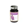 Image de NutriExpert Desmodium Synergise 60 gélules
