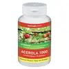 Image de Nutriexpert Acerola 1000+ Prébiotiques 60 comprimés