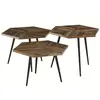 Image de Tables basses hexagonales teck recyclé et métal woody (lot de 3)