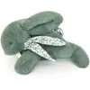 Image de Peluche Lapin Doudou