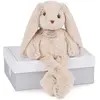Image de Coffret peluche Lapin Copains câlins beige (40 cm)
