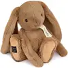 Image de Peluche Lapin