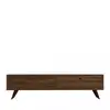 Image de Meuble tv 2 portes en bois l160cm - bois foncé