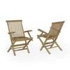 Image de Fauteuils de jardin pliants en teck massif (lot de 2)