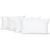 Image de Lot de 4 oreillers duvet & plumess 45x70 cm