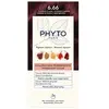 Image de Phyto Coloration 6.66 Chatain Clair Cerise Intense - Kit Coloration Permanente