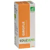 Image de Eolesens Huile essentielle girofle (clou)* 10 ml