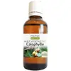 Image de Propos' Nature Aroma-Phytothérapie Huile Végétale Calophylle Bio 50ml