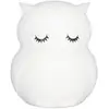 Image de Grande veilleuse hibou