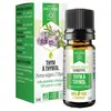 Image de Dayang Thym à Thymol Bio 5ml