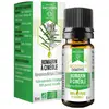Image de Dayang Romarin à Cinéole Bio 10ml