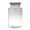 Image de Terrarium bose 30 cm bouchon liège verre