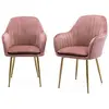 Image de 2 fauteuils velours vieux rose et pieds métal