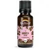 Image de Biofloral 03 Beech Hetre Granules Bio Fleur De Bach Granules 19,5 Gr