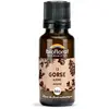 Image de Biofloral 13 Gorse Ajonc Granules Bio Fleur De Bach Granules 19,5 Gr