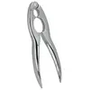 Image de Casse noix chromé - - Gris - Inox