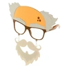Image de Lunettes vieux avec bouc et moustache