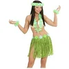Image de Kit Hawaï Vert - Adulte