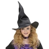 Image de Chapeau de sorcière souple adulte