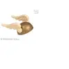 Image de Casque Gaulois Adulte