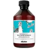 Image de Davines Shampooing Hydratant Well-being 250ml One Size