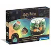 Image de Terrarium Harry Potter La Cabane d'Hagrid Kit Écologique Enfant Dès 7 Ans en occasion ou reconditionné