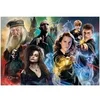 Image de Puzzle 104 pièces : Harry Potter