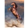 Image de Puzzle 500 pièces : Etalon Rouge Sauvage