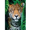 Image de Puzzle 500 pièces + poster Jaguar dans la jungle