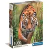 Image de Puzzle Compact 1000 Pieces - The Hunter's Path