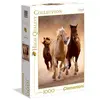 Image de Puzzle 1000 pièces High Quality Horses