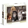 Image de Kittens 1000 pièces de puzzle belle