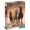 Image de Puzzle Compact 1000 Pieces - Running Horses