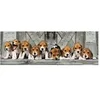 Image de Puzzle panoramique 1000 pièces + poster : Beagles