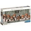 Image de Puzzle Compact 1000 Pieces Panorama - Beagles