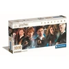 Image de Puzzle 1000 pièces Panorama Harry Potter