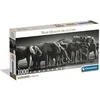 Image de Puzzle panorama La horde d'éléphants N&B 1000 pièces